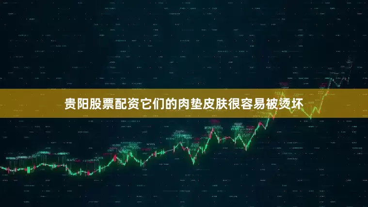 贵阳股票配资它们的肉垫皮肤很容易被烫坏