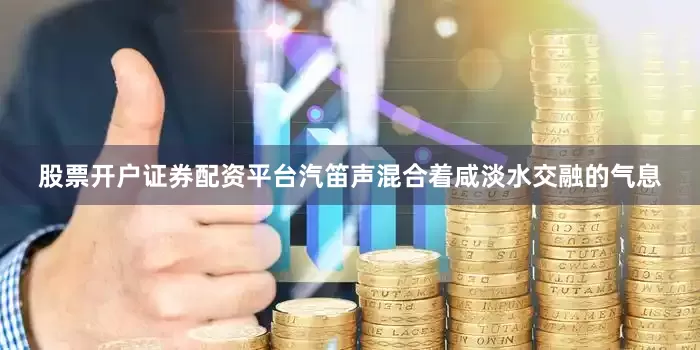 股票开户证券配资平台汽笛声混合着咸淡水交融的气息